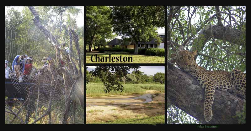 Charleston_Collage